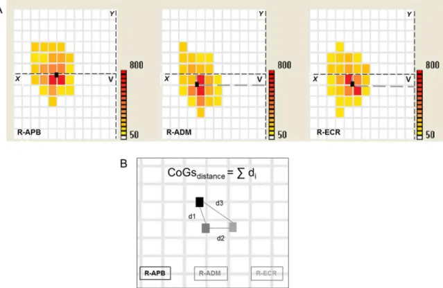 Fig 2. example of muscles CoGs calculations and their reciprocal distance. (A) CoG position: within each participant’s muscle representation, the CoG represents the average coordinate of all the responsive sites, weighted by their corresponding MEP intensi