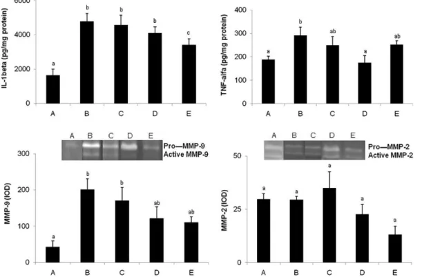 Fig. 1. Effects of different treatments in TNBS rat colitis in biochemical parameters (acute protocol)