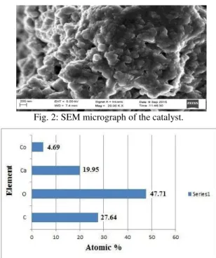 Fig. 2: SEM micrograph of the catalyst. 