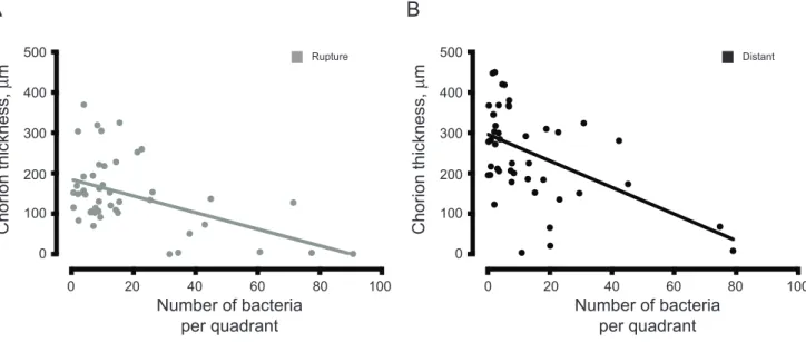 Table 6. Number of Total Bacteria by Clinical Group and Membrane Location.
