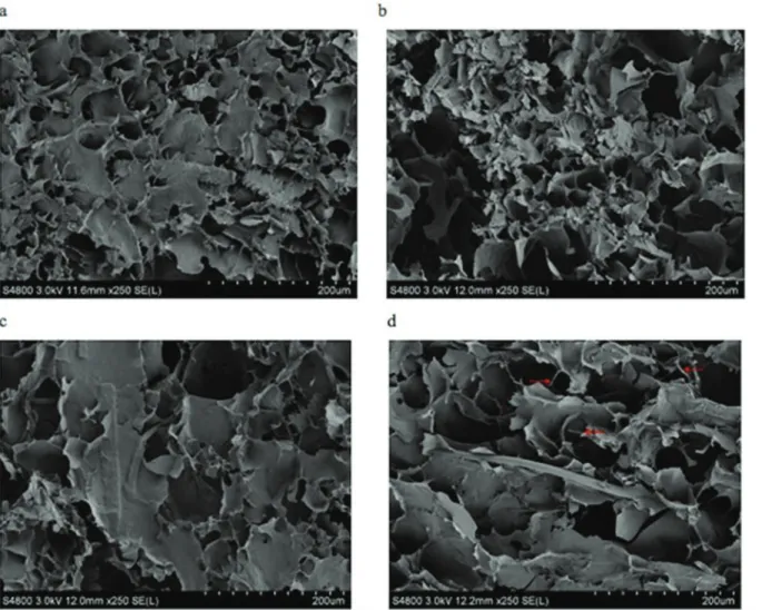 Fig 3. Scanning electron micrographs (SEM) of gelatinized wheat starch gel with 10, 20, 30, 40% 180-mesh wheat fiber.