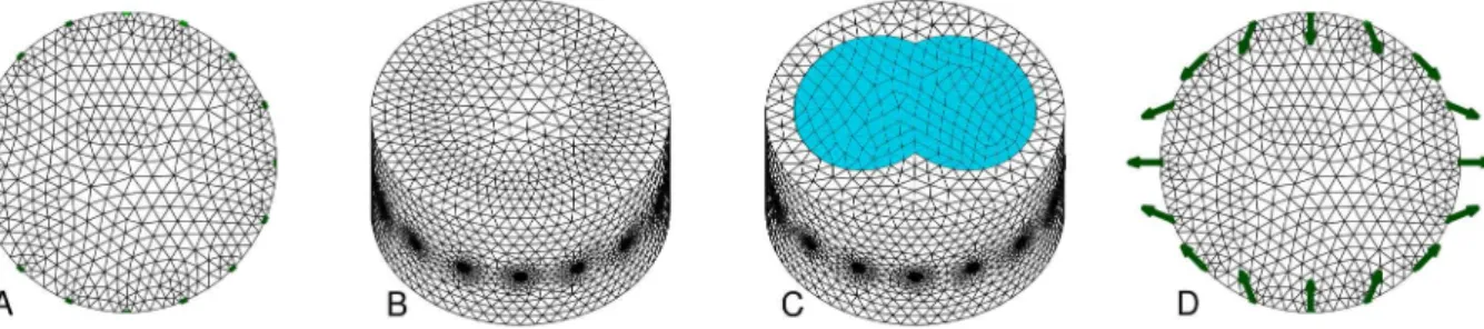 Figure 3. Finite element models used. Electrode nodes are indicated in green. A: 2D circular uniform FEM (R 0 ) B: 3D cylindrical uniform FEM (R 3D ) C: 3D cylindrical FEM with lung regions (R bkg ) D: 2D circular uniform FEM with electrode movement (R mv 