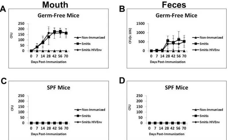 Fig 4. Recombinant S. mitis colonizes germ-free mice efficiently and persistently. Germ-free Balb/c mice and conventional SPF mice were inoculated orally with 10 9 cfu rS