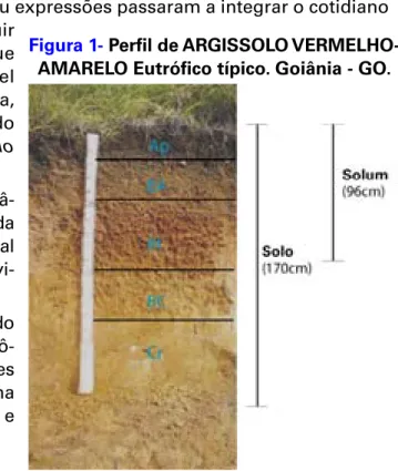 Figura 1- Perfi l de ARGISSOLO VERMELHO- VERMELHO-AMARELO Eutrófi co típico. Goiânia - GO.