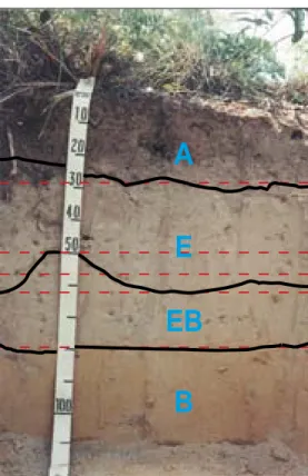 Figura 3 - Exemplo de tomada de profundidades e espessuras para solos  com transição plana e ondulada