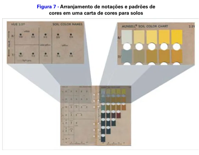 Figura 7 - Arranjamento de notações e padrões de cores em uma carta de cores para solos