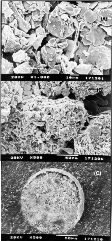 Fig. 1 presents SEM micrographs of the electrode materials