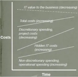 Fig. 2. IT unmanaged Cost versus Time problem (Cassidy &amp; Cassidy, 2010) 