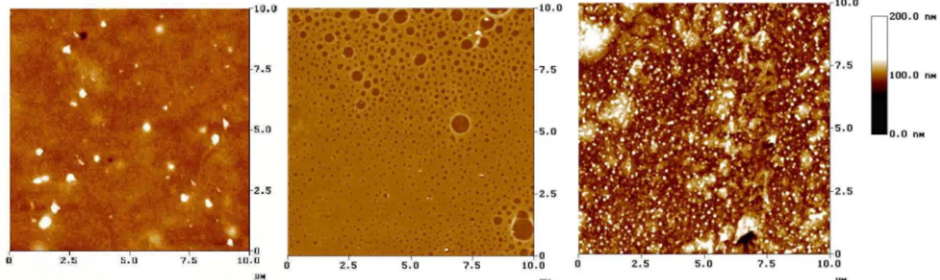 FIG. 4. AFM images of OC 1 OC 6 -PPV films processed via (a) casting, (b) SC and (c) LB technique.