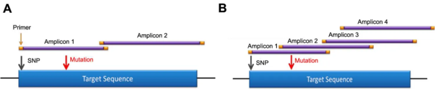 Figure 3. Primer sequence trimming increases detection sensitivity. Two heterozygous causative variants A) BRCA1 c.3671_3672insCTTC and B) BRCA2 c.2918C.A that were missed without primer trimming were detected with the function enabled in the pipeline