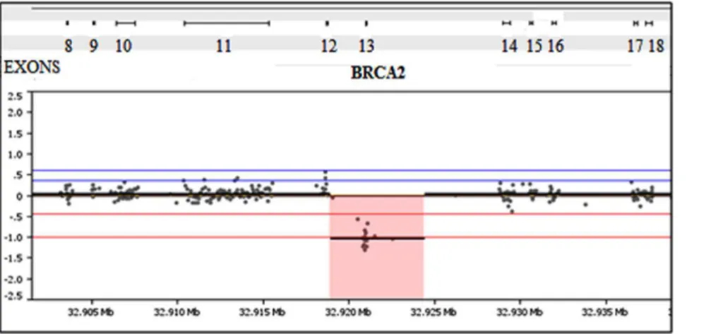 Figure 4. Microarray has exon level resolution for deletion and duplication variant detection