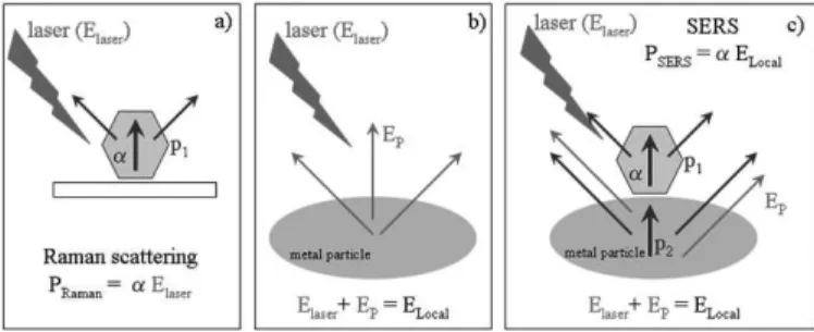figure 4: Illustrations showing (a) the dipole moment of the molecule (p 1 )  induced by the incoming laser line in the spontaneous Raman scattering; (b)  E Local  at the surrounding of the metal particles composed by the electric ields  from the metal nan