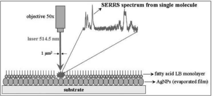figure 17: experimental setup applied by Aroca’s group to collect SERRS  spectra from a single molecule.