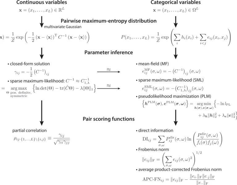 Fig 3. Scheme of pairwise maximum-entropy probability models. The maximum-entropy probability distribution with pairwise constraints for continuous random variables is the multivariate Gaussian distribution (left column)