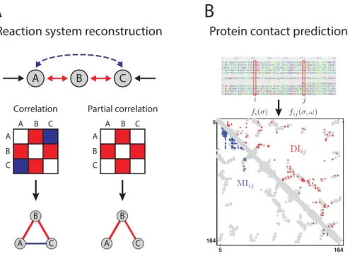 Fig 1. Reaction system reconstruction and protein contact prediction. Association results of correlation- correlation-based and maximum-entropy methods on biological data from an in silico reaction system (A) and protein contacts (B)