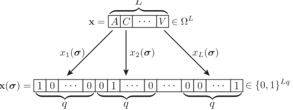 Fig 2. Illustration of binary embedding. The binary embedding 1 σ : Ω ! {0, 1} Lq maps each vector of categorical random variables, x2Ω L , here represented by a sequence of amino acids from the amino acid alphabet (containing the 20 amino acids and one ga