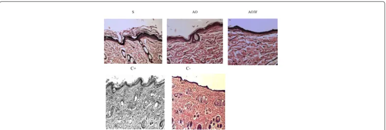 Table 2: Thickness of the epidermis and dermis (µm). Number of ibroblasts and leukocytes in 250 µm 2  of the papillary dermis in each experimental group