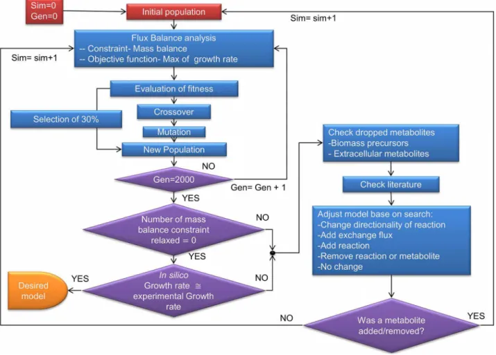 Figure 1. Flowchart for GAFBA algorithm. A schematic depiction of the GAFBA algorithm used to determine the genome-scale metabolic model for M