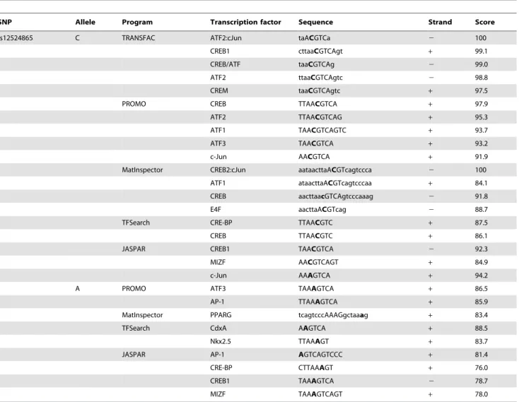 Table 2. In silico allele-specific transcription factor binding to rs12524865.