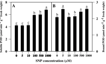 Fig. 2. Effects of SNP on soluble (A) and cell wall-bound (B) peroxidases (POD). Mean ± SE  values  (N  =  6)  followed  by  the  same  letter  are  not  significantly  different  according  to  Scott–