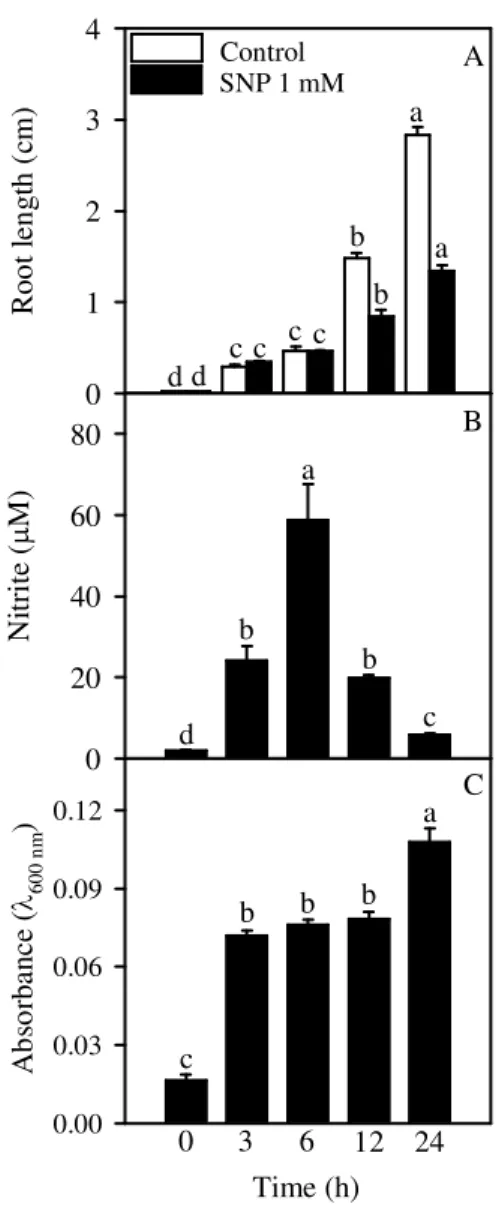 Fig.  6 . Changes  in  the  root  lengths,  nitrite  contents  in  the  nutrient  solution  and  loss  of  cell  viability of soybean roots