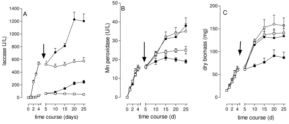 Figure 3. Effect of PCP in submerged cultures of P. pulmonarius developed under ligninolytic and non-ligninolytic conditions