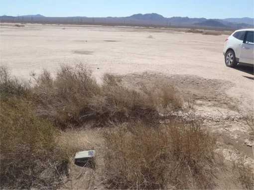 Fig. 5. Sagebrush patch on the playa with solar-powered datalogger installed.