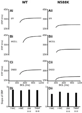 Figure 6. ERP restitution curves of four models of ventricular myocytes. (Ai, Bi, Ci) WT ERP restitution curves for EPI, MIDDLE and ENDO cells respectively for the full Markov chain I hERG /I Kr model formulation