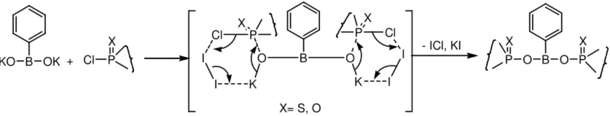 Figure 1 Numbering and Conformation of Benzoxazaphosphininyl Phenylboronates 