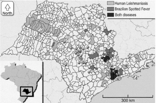 FIG. 1. Distribution of the 21 cities enrolled in this study from São Paulo state and the areas of reported human cases of Visceral Leishmaniasis and/or Brazilian Spotted Fever from the same years in which samples were collected for this study (2002/2003)