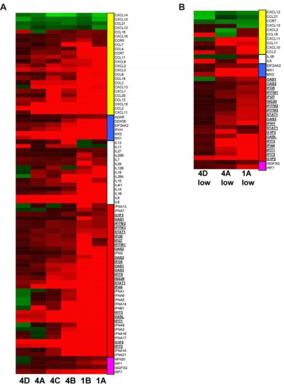 Figure 5. Innate Host Response Profile from Tissues Showing Presence or Absence of Viral mRNA