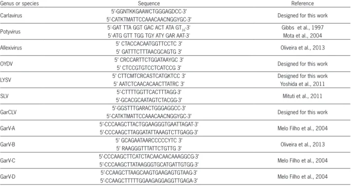 Table 1 – Primer sequences used to detect various viruses in garlic.