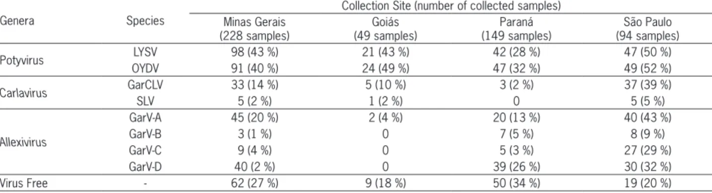 Table 3 – Occurrence of species of Potyvirus (Leek yellow stripe virus - LYSV and Onion yellow dwarf virus - OYDV), Carlavirus (Garlic common  latent virus - GarCLV and Shallot latent virus - SLV) and Allexivirus (Garlic virus A - GarV-A; Garlic virus B - 