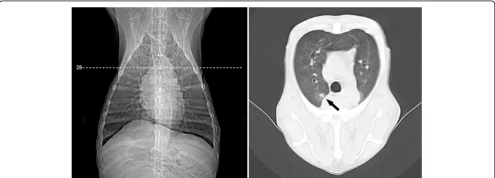 Figure 8 Transverse CT views at the level of the right apical lobe and left thorax of a female dog (Case 17) with malignant mixed mammary tumor