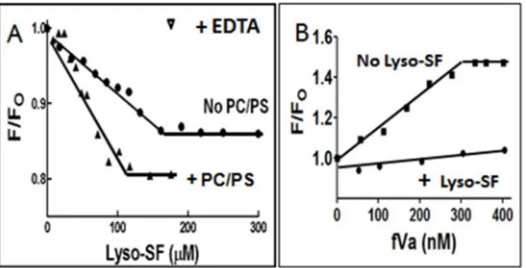 Fig 5. Fluorescence spectroscopy binding studies. (A) Binding of Lyso-SF to fXa in the presence or absence of PL Vesicles