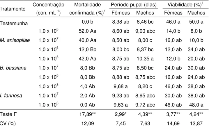 Tabela 3.  Mortalidade, período pupal e viabilidade de pupas de Diatraea saccharalis tratadas com  diferentes concentrações de conídios de Metarhizium anisopliae, Beauveria bassiana e Isaria farinosa