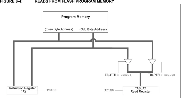 FIGURE 6-4: READS FROM FLASH PROGRAM MEMORY 
