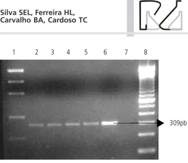 Figure 2 - 1) Low Mass Ladder -5µg; 2-5) Bursa samples; 6) positive control; 7) negative control; 8) 1Kb ladder.