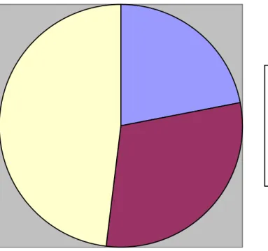 Gráfico Circular ou de Pizza: 