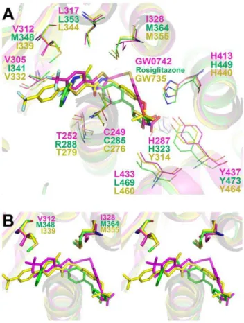 Figure 4. Crystallographic structure superposition of selective ligands to each PPAR isotype