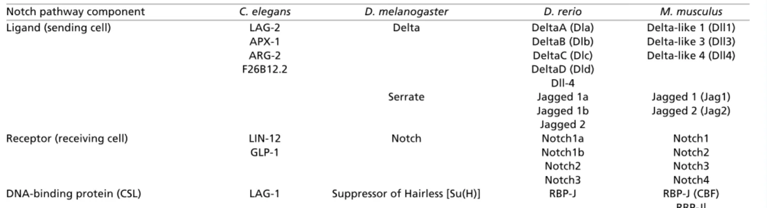 Table 1. Across species: the basic components of the Notch signaling pathway
