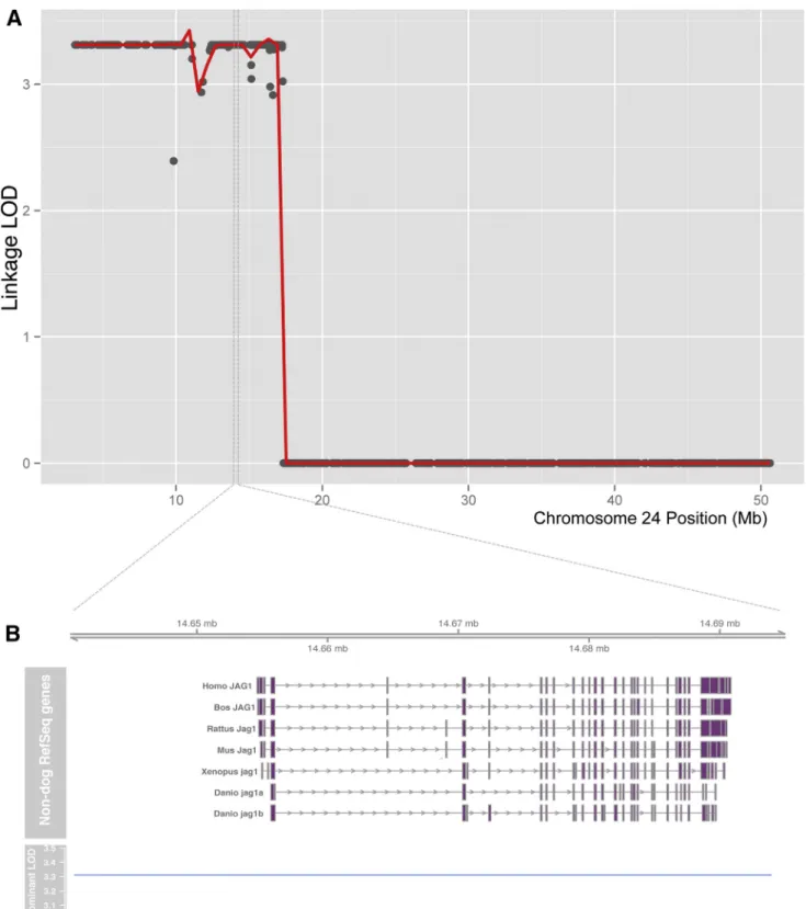 Figure S1. Chromosome 24 Linkage Results, Related to Figure 1