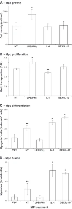 Figure 5.  Effects of activated MPs on mpc fate. mpcs were  co-cultured with untreated (NT) and LPS/IFN-γ–, IL-4–, and DEX/IL-10–