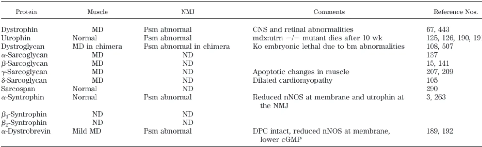 TABLE 1. Knockouts of components of the dystrophin-associated protein complex