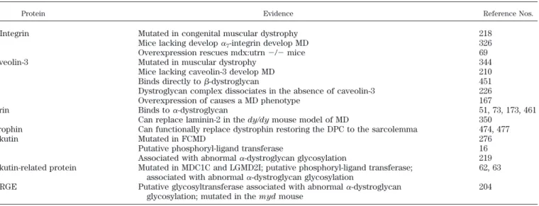 TABLE 3. Proteins that potentially modify the disease state in muscular dystrophy