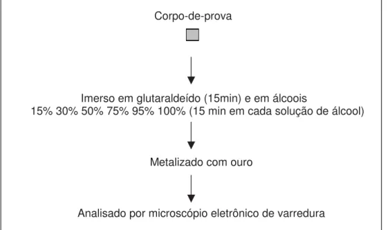 FIGURA 4. Fluxograma da metodologia para a análise por meio de microscópio eletrônico de varredura.