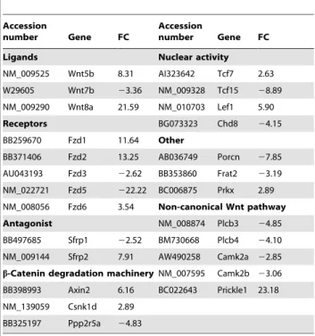 Table 3. Gene transcripts associated with Wnt signalling pathway.
