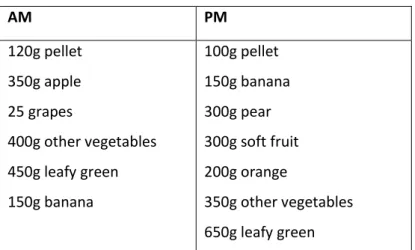 Table 2  –  Diet plan 