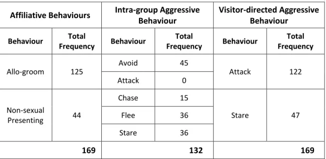Table 2 shows the total frequencies of the mangabey behaviours that are going to  be  analysed  in  relation  to  specific  visitor  conditions,  nam ely  ‘Visitor  Presence/Absence’, ‘Visitor Cumulative Presence’ and ‘Visitor Loudness’.