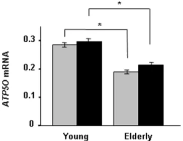Table 2. Heritability of ATP5O mRNA expression in skeletal muscle from 86 young and 69 elderly twins during clamp.